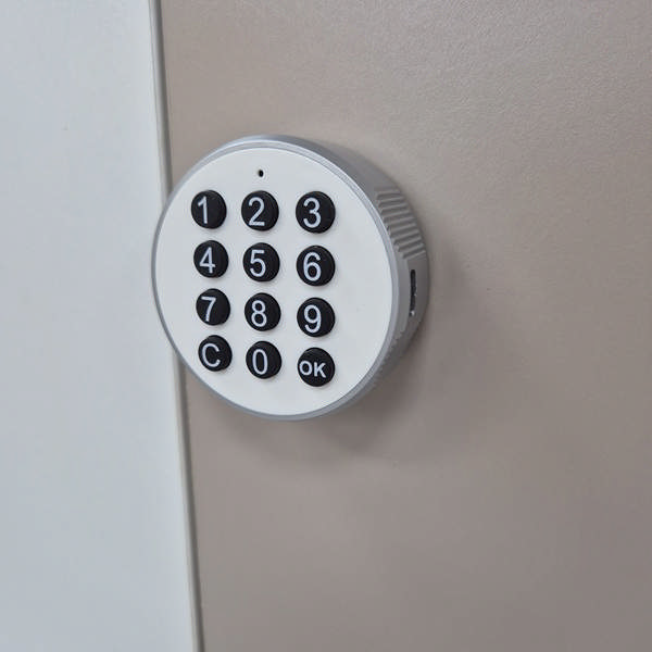 Elec. Key Pad Cam Lock 