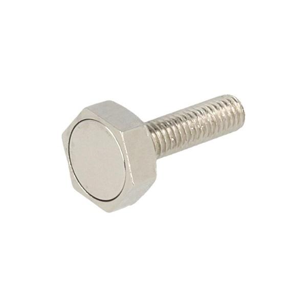 Magnet Screw F/Sauna, M6x28mm, W/14mm Hex Head, NPL