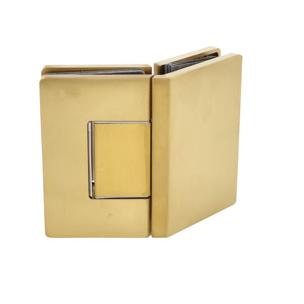 Picture1 Shower Hinge